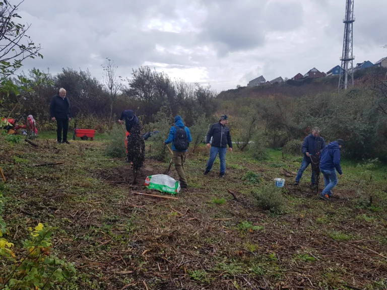 Initiative Bäume für Helgoland – Wildbirnen finden neues Zuhause im Kurpark